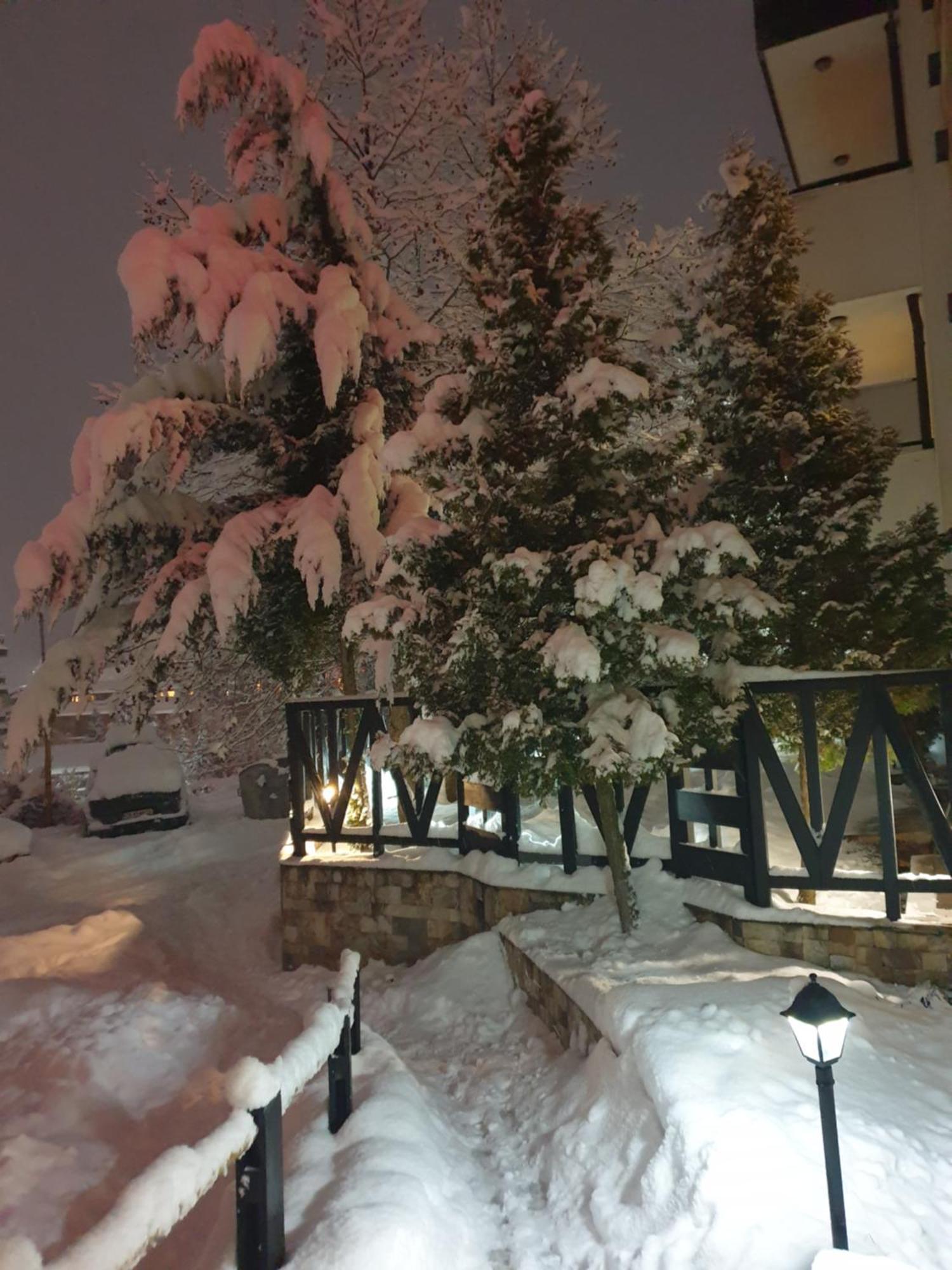 Dream Apart Hotel 207 Банско Номер фото